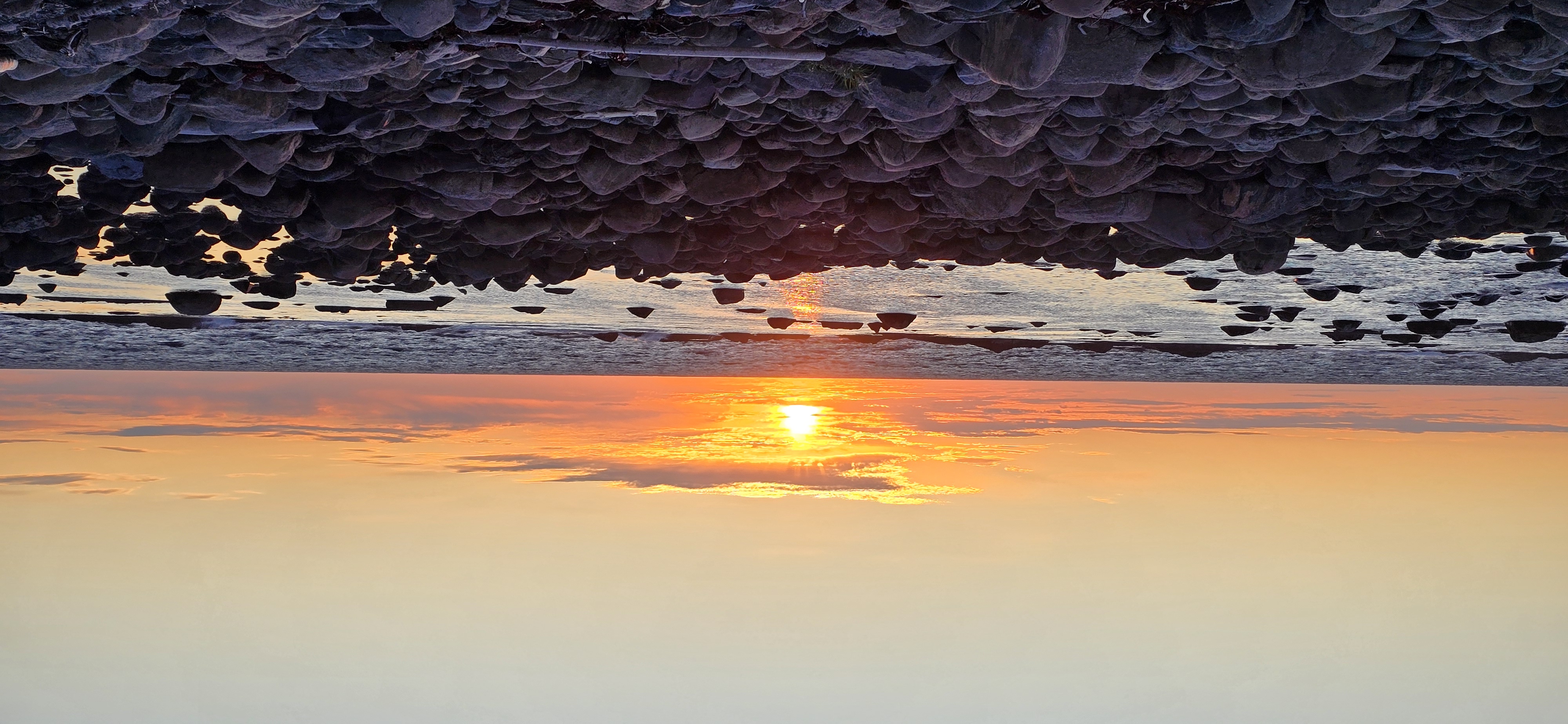 The Forge mobile sauna trailer